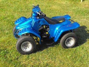 Kinderquad LEM 50ccm